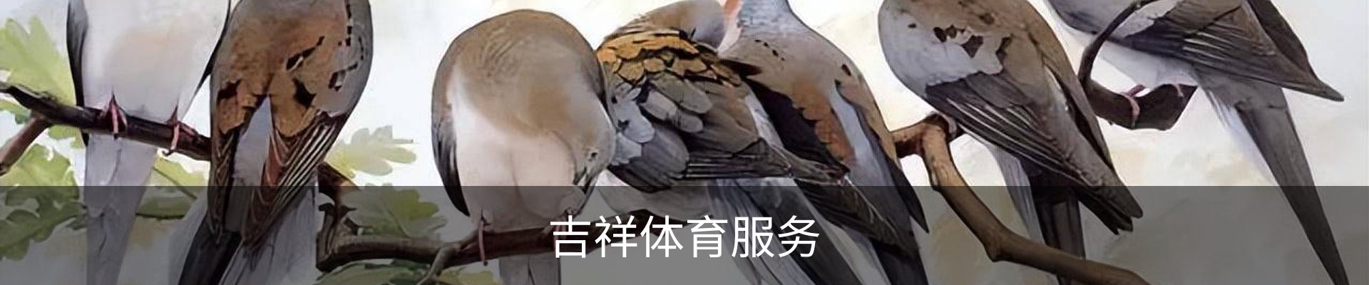 吉祥体育服务